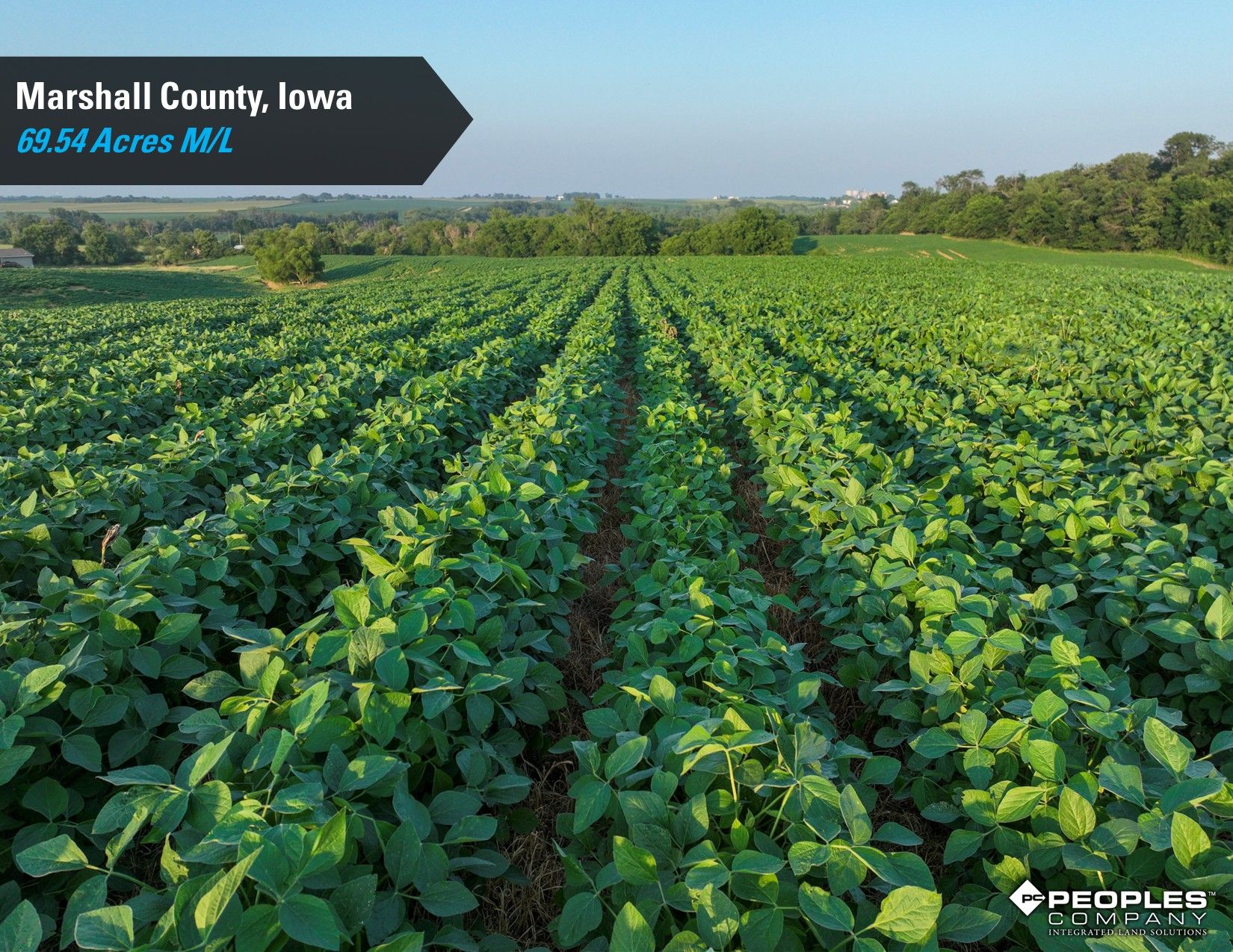 Listing Photo: Marshall-County-Iowa-Online-Land-Auction-Recreational-Property-Smith-Estate (3)